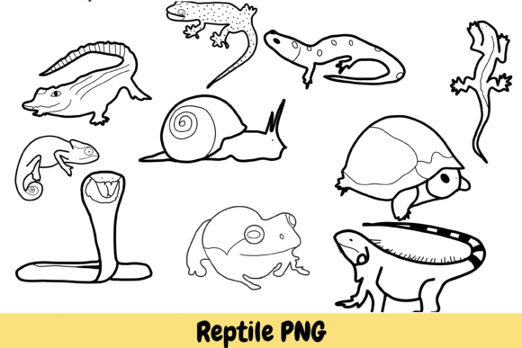 Download Reptile Animal Hand Drawn PNG - Tile Collection