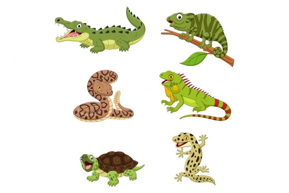 Download Set of Six Reptile Animals - Tile Collection